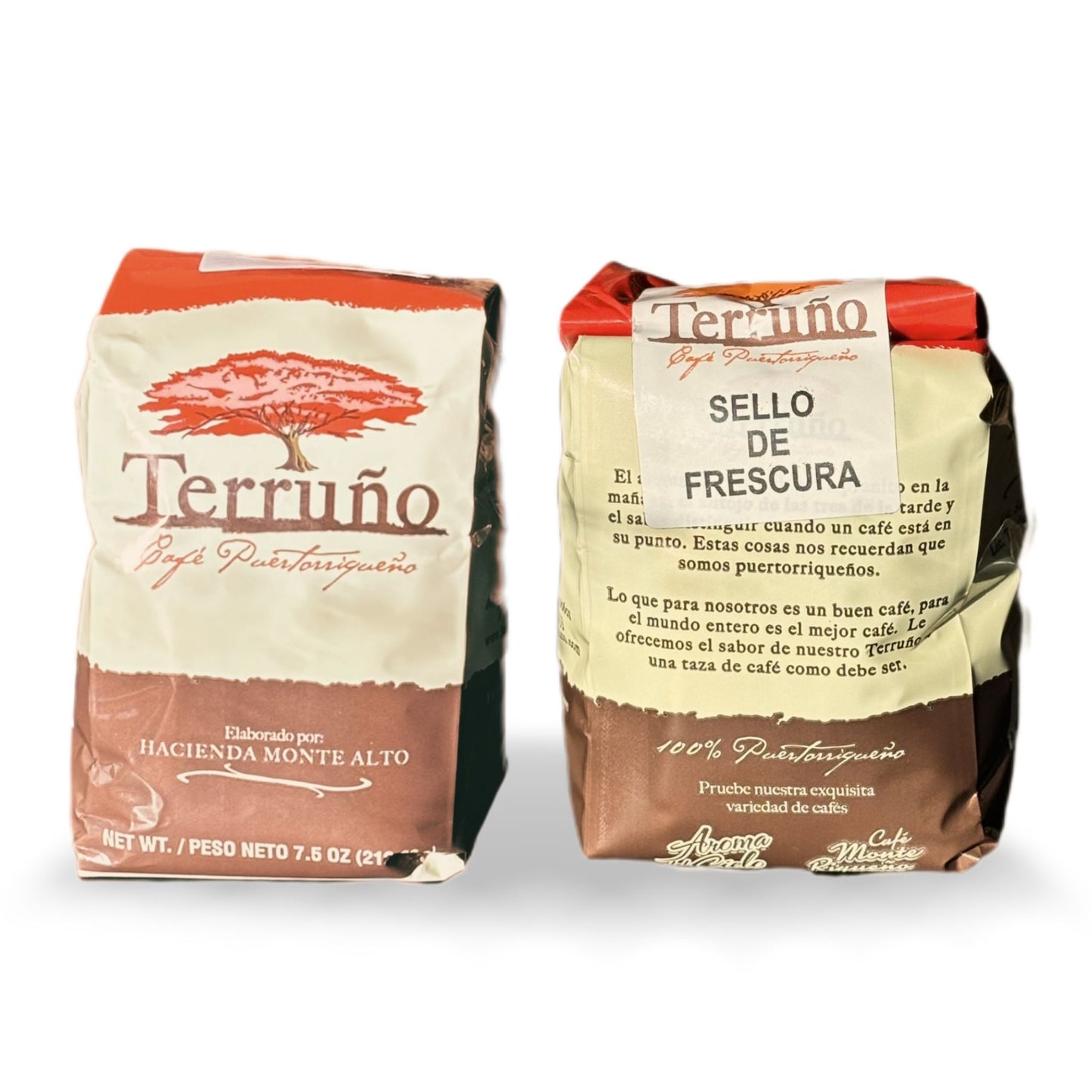 Ground  Terruño